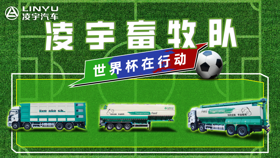 奪冠世界杯！你注意到這支球隊(duì)了嗎？
